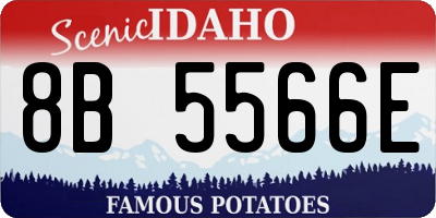 ID license plate 8B5566E
