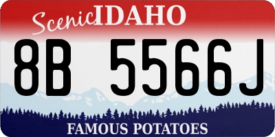 ID license plate 8B5566J