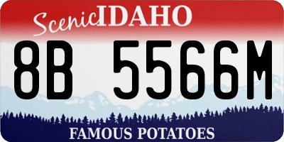 ID license plate 8B5566M