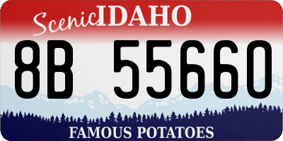ID license plate 8B5566O