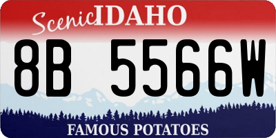 ID license plate 8B5566W