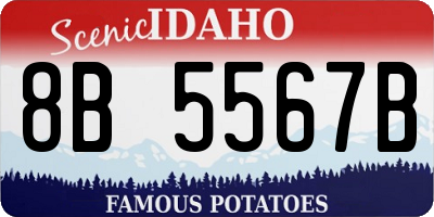 ID license plate 8B5567B