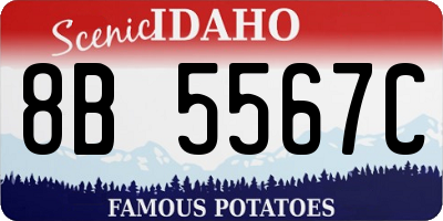 ID license plate 8B5567C