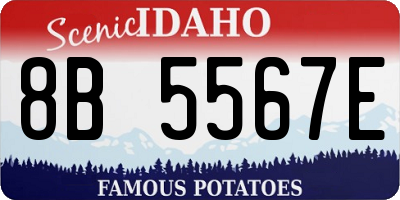 ID license plate 8B5567E