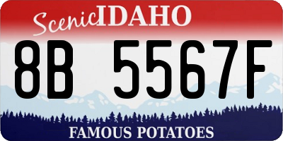 ID license plate 8B5567F