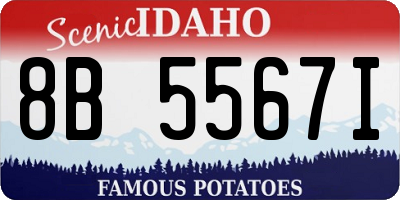 ID license plate 8B5567I