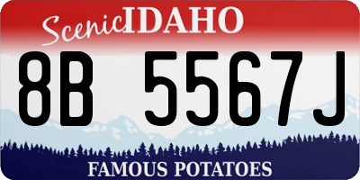 ID license plate 8B5567J