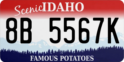 ID license plate 8B5567K