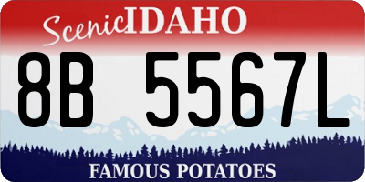 ID license plate 8B5567L