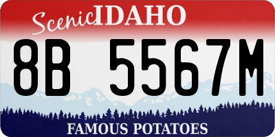ID license plate 8B5567M