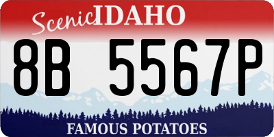 ID license plate 8B5567P