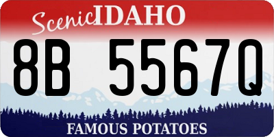 ID license plate 8B5567Q
