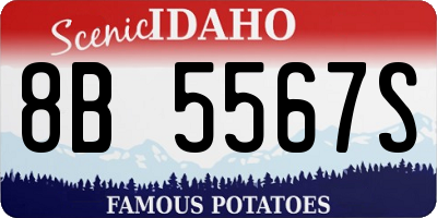 ID license plate 8B5567S