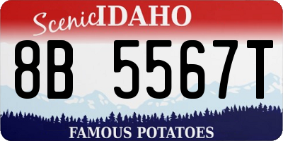 ID license plate 8B5567T