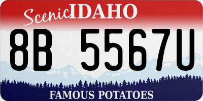 ID license plate 8B5567U