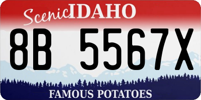 ID license plate 8B5567X