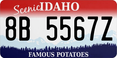 ID license plate 8B5567Z