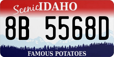 ID license plate 8B5568D