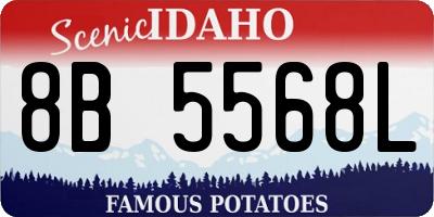 ID license plate 8B5568L