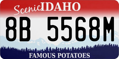 ID license plate 8B5568M