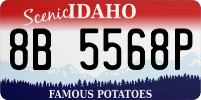 ID license plate 8B5568P