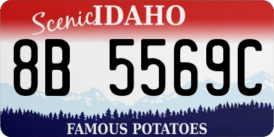 ID license plate 8B5569C