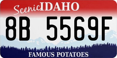 ID license plate 8B5569F
