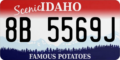 ID license plate 8B5569J