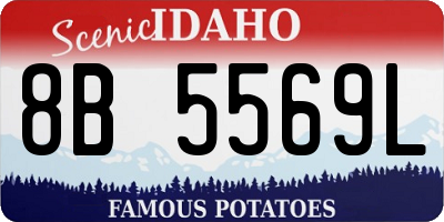 ID license plate 8B5569L