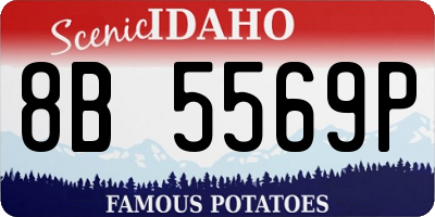 ID license plate 8B5569P