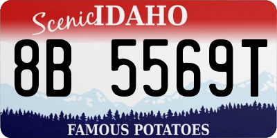ID license plate 8B5569T