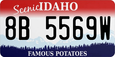 ID license plate 8B5569W