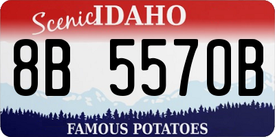 ID license plate 8B5570B