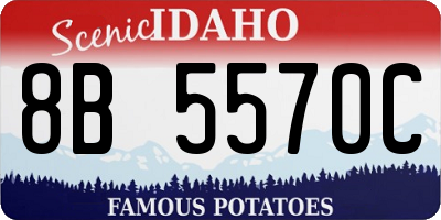 ID license plate 8B5570C