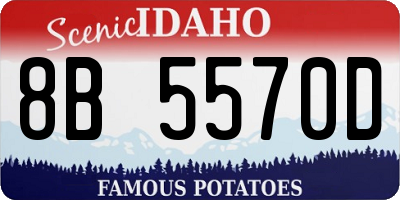 ID license plate 8B5570D