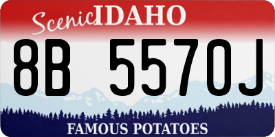 ID license plate 8B5570J