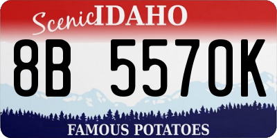 ID license plate 8B5570K