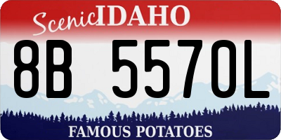 ID license plate 8B5570L