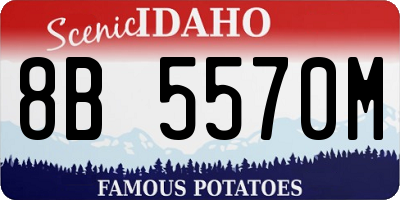 ID license plate 8B5570M