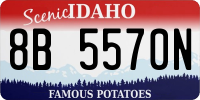 ID license plate 8B5570N