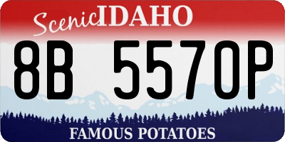ID license plate 8B5570P