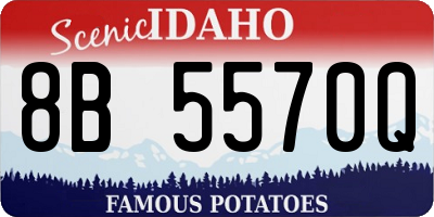 ID license plate 8B5570Q