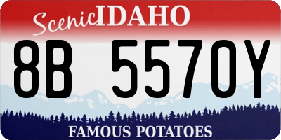ID license plate 8B5570Y