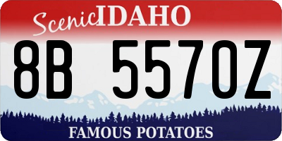 ID license plate 8B5570Z