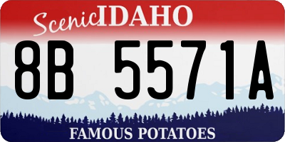 ID license plate 8B5571A
