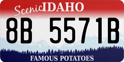 ID license plate 8B5571B