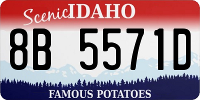 ID license plate 8B5571D