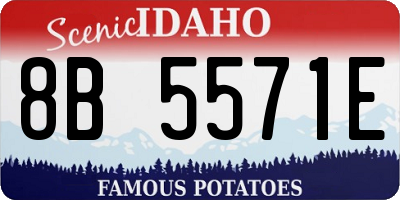 ID license plate 8B5571E