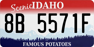 ID license plate 8B5571F