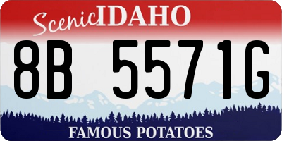 ID license plate 8B5571G